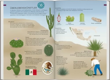 Baedeker Reiseführer Mexiko: mit praktischer Karte EASY ZIP - 4